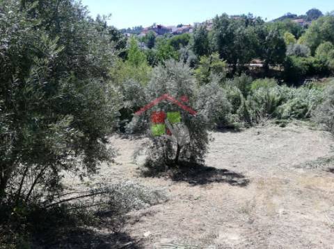 Terreno T3 Venda em Amiais de Baixo,Santarém