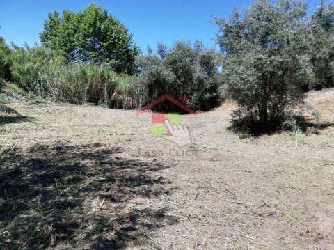 Terreno T3 Venda em Amiais de Baixo,Santarém