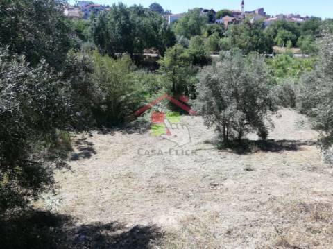 Terreno T3 Venda em Amiais de Baixo,Santarém