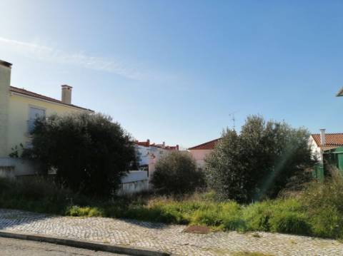 Terreno  Venda em Torres Novas (São Pedro), Lapas e Ribeira Branca,Torres Novas