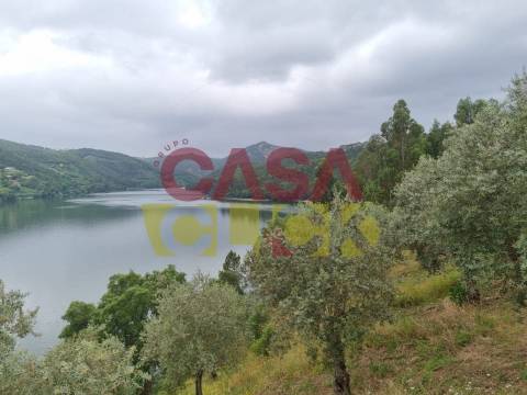 Terreno T4 Venda em Águas Belas,Ferreira do Zêzere