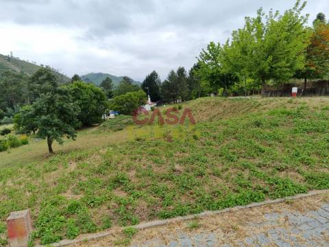 Terreno T3 Venda em Águas Belas,Ferreira do Zêzere