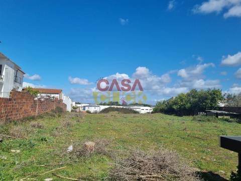 Terreno T3 Venda em Riachos,Torres Novas
