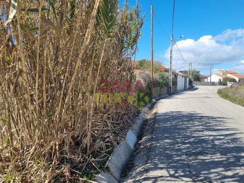 Terreno T3 Venda em Riachos,Torres Novas