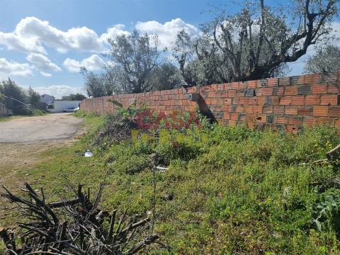 Terreno T3 Venda em Riachos,Torres Novas