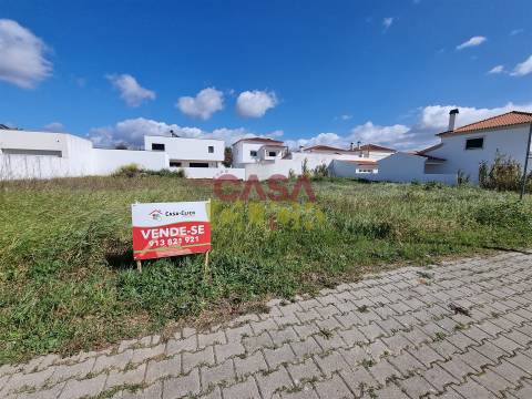 Terreno T3 Venda em Riachos,Torres Novas
