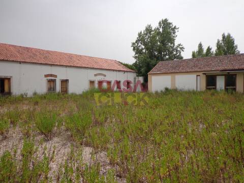 Moradia T6 Venda em Santa Margarida da Coutada,Constância