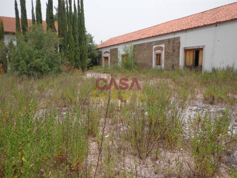 Moradia T6 Venda em Santa Margarida da Coutada,Constância