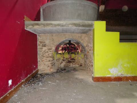 Moradia T6 Venda em Santa Margarida da Coutada,Constância