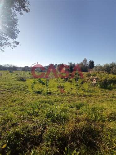 Lote de Terreno T4 Venda em Torres Novas (Santa Maria, Salvador e Santiago),Torres Novas