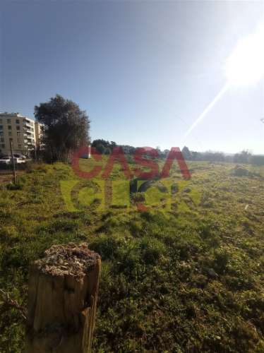 Lote de Terreno T4 Venda em Torres Novas (Santa Maria, Salvador e Santiago),Torres Novas
