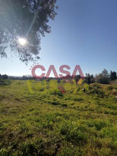 Lote de Terreno T4 Venda em Torres Novas (Santa Maria, Salvador e Santiago),Torres Novas