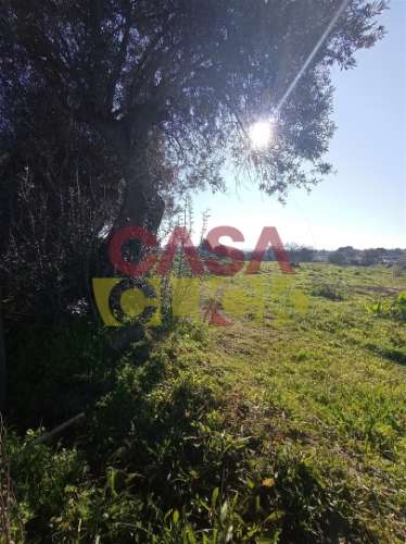 Lote de Terreno T4 Venda em Torres Novas (Santa Maria, Salvador e Santiago),Torres Novas