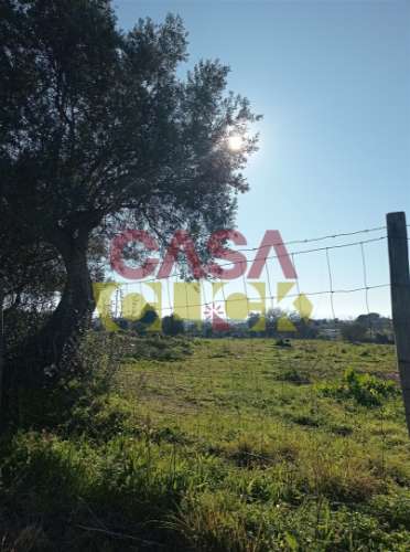 Lote de Terreno T4 Venda em Torres Novas (Santa Maria, Salvador e Santiago),Torres Novas