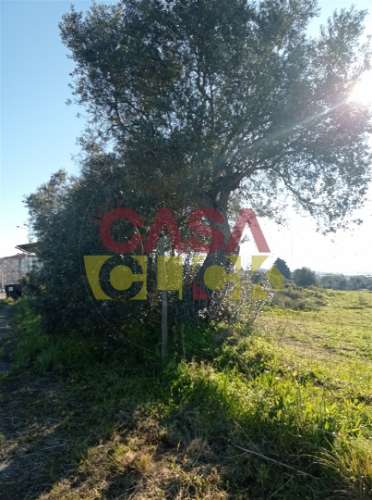 Lote de Terreno T4 Venda em Torres Novas (Santa Maria, Salvador e Santiago),Torres Novas