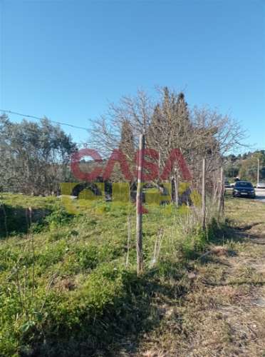 Lote de Terreno T4 Venda em Torres Novas (Santa Maria, Salvador e Santiago),Torres Novas