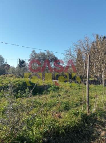 Lote de Terreno T4 Venda em Torres Novas (Santa Maria, Salvador e Santiago),Torres Novas