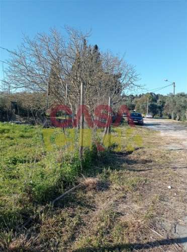 Lote de Terreno T4 Venda em Torres Novas (Santa Maria, Salvador e Santiago),Torres Novas