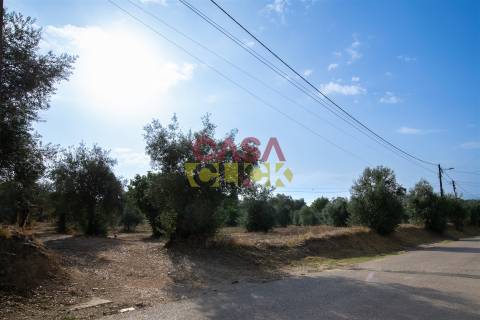 Terreno Para Construção T3 Venda em Olaia e Paço,Torres Novas