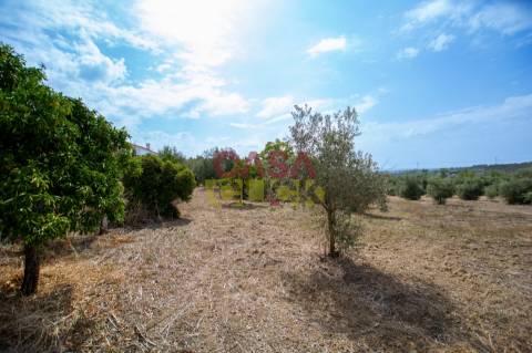 Terreno Para Construção T3 Venda em Olaia e Paço,Torres Novas