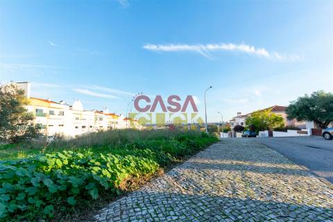 Lote de Terreno T3 Venda em Torres Novas (São Pedro), Lapas e Ribeira Branca,Torres Novas