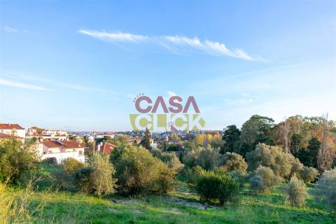 Lote de Terreno T3 Venda em Torres Novas (São Pedro), Lapas e Ribeira Branca,Torres Novas