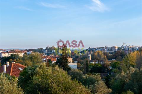 Lote de Terreno T3 Venda em Torres Novas (São Pedro), Lapas e Ribeira Branca,Torres Novas