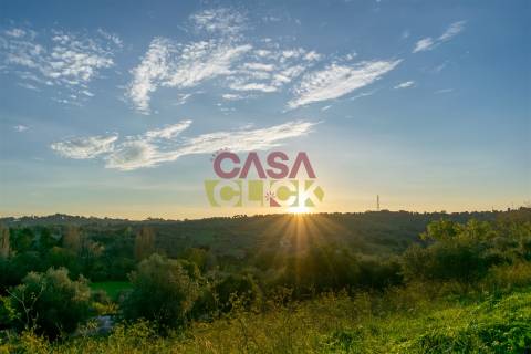 Lote de Terreno T3 Venda em Torres Novas (São Pedro), Lapas e Ribeira Branca,Torres Novas