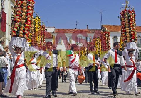 Apartamento T3 DUPLEX Venda em São Pedro de Tomar,Tomar