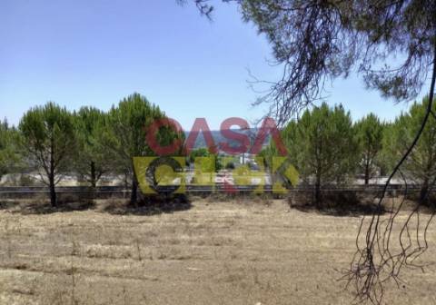 Lote de Terreno T4 Venda em Constância,Constância