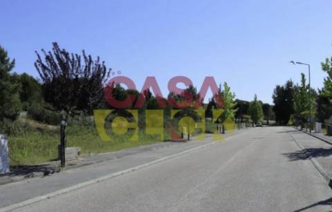 Lote de Terreno T4 Venda em Constância,Constância