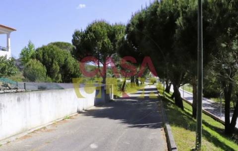 Lote de Terreno T4 Venda em Constância,Constância