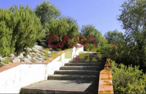 Lote de Terreno T4 Venda em Constância,Constância