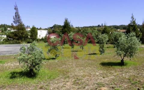 Lote de Terreno T4 Venda em Constância,Constância