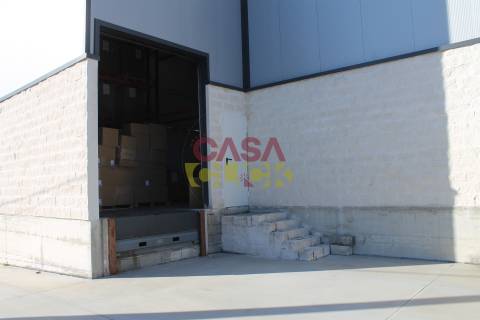 Armazém T1 Venda em Montalvo,Constância