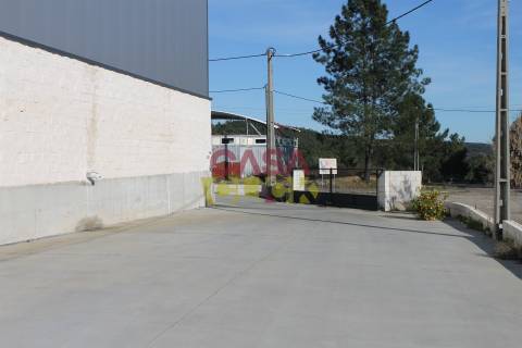 Armazém T1 Venda em Montalvo,Constância