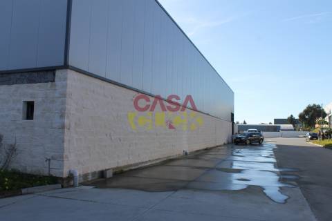 Armazém T1 Venda em Montalvo,Constância