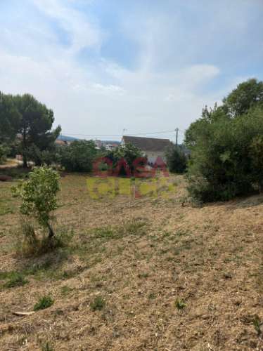 Terreno Rústico  Venda em Assentiz,Torres Novas