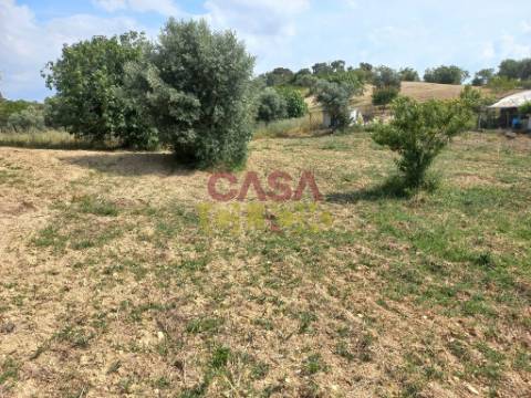 Terreno Rústico  Venda em Assentiz,Torres Novas