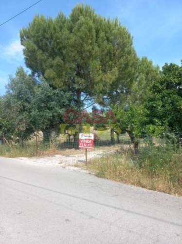 Terreno Rústico  Venda em Assentiz,Torres Novas