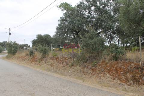 Terreno Rústico  Venda em Brogueira, Parceiros de Igreja e Alcorochel,Torres Novas