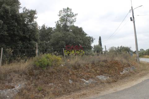 Terreno Rústico  Venda em Brogueira, Parceiros de Igreja e Alcorochel,Torres Novas