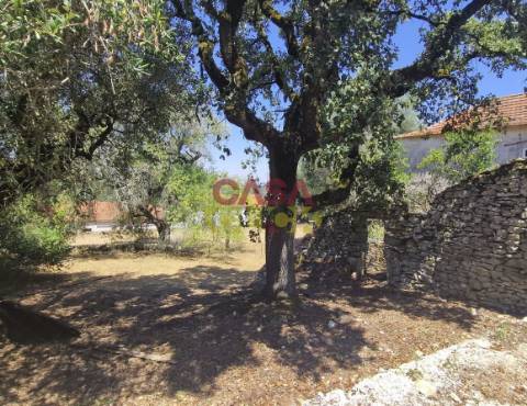 Moradia T6 Venda em Nossa Senhora das Misericórdias,Ourém