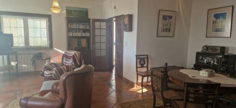 Moradia T4 Venda em Ribeira de Nisa e Carreiras,Portalegre