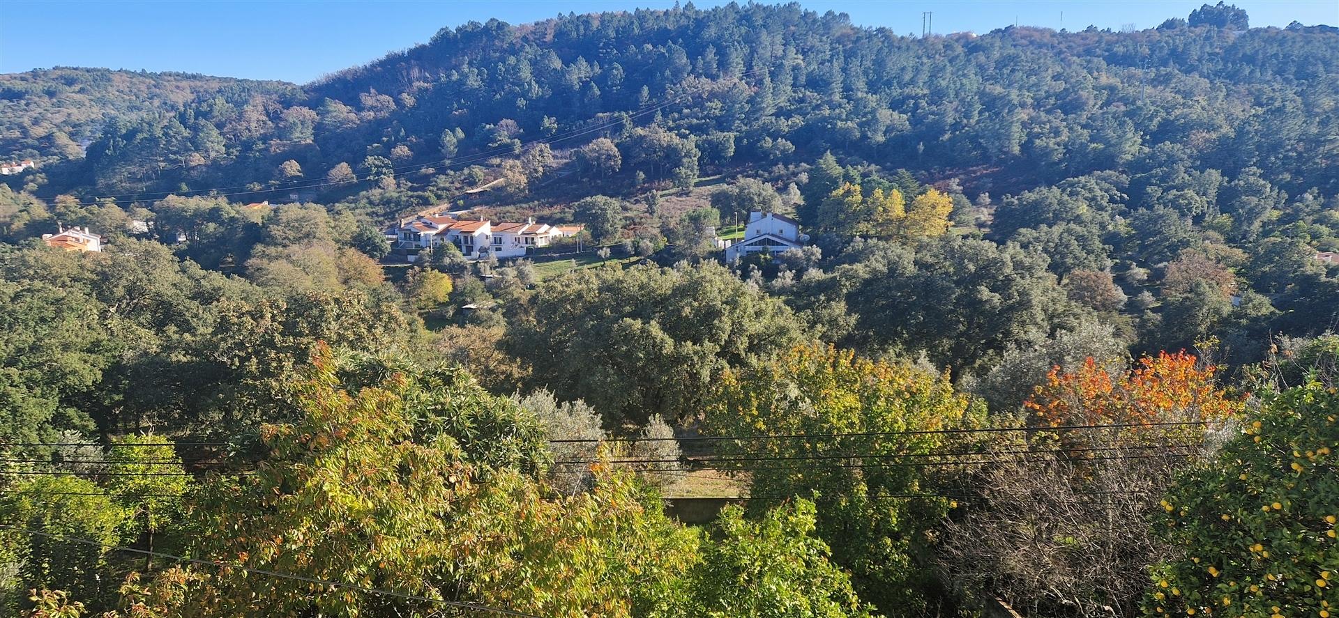 Moradia T4 Venda em Ribeira de Nisa e Carreiras,Portalegre