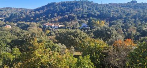 Moradia T4 Venda em Ribeira de Nisa e Carreiras,Portalegre