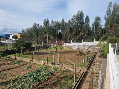 Quintinha T6 Venda em Nossa Senhora de Fátima,Entroncamento