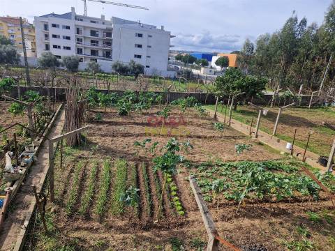 Quintinha T6 Venda em Nossa Senhora de Fátima,Entroncamento