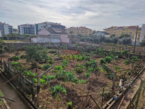 Quintinha T6 Venda em Nossa Senhora de Fátima,Entroncamento