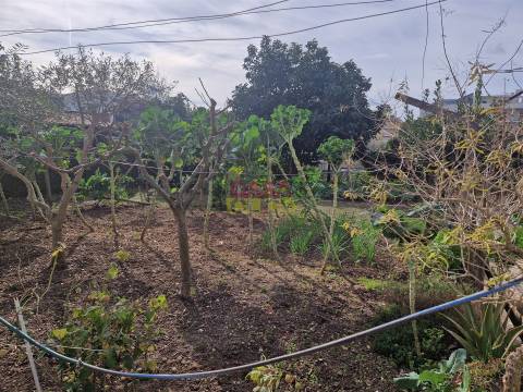 Quintinha T6 Venda em Nossa Senhora de Fátima,Entroncamento